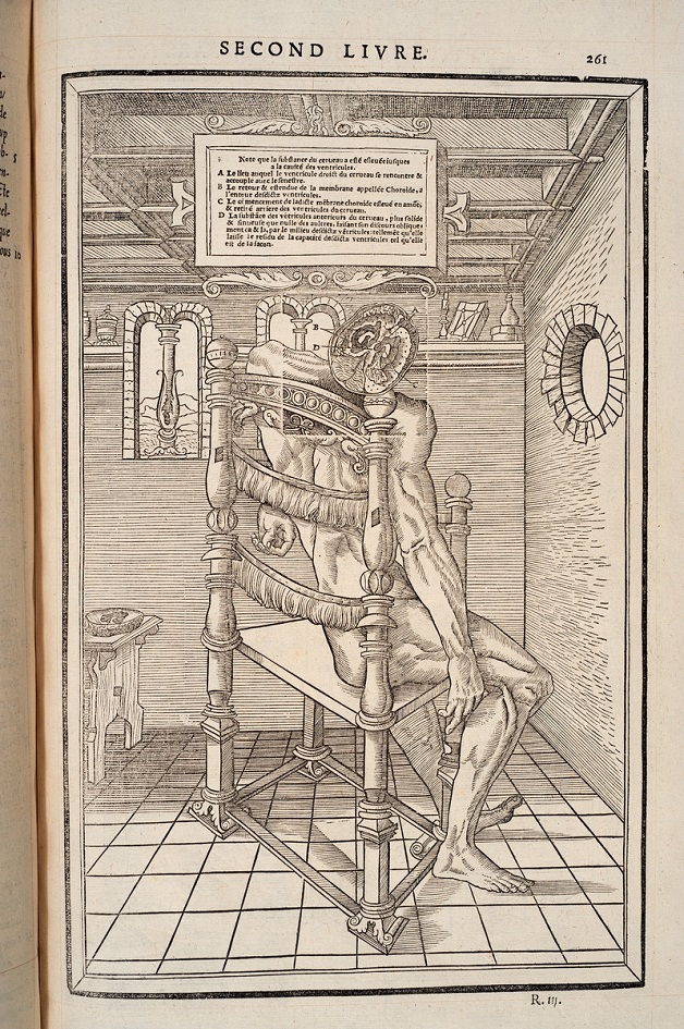 Estienne’s La dissection des parties du corps humain (1546)