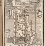 Estienne’s La dissection des parties du corps humain (1546)