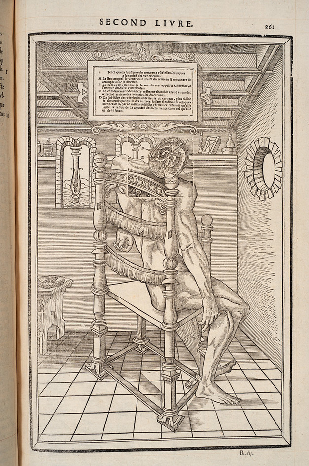 Estienne’s La dissection (1546)