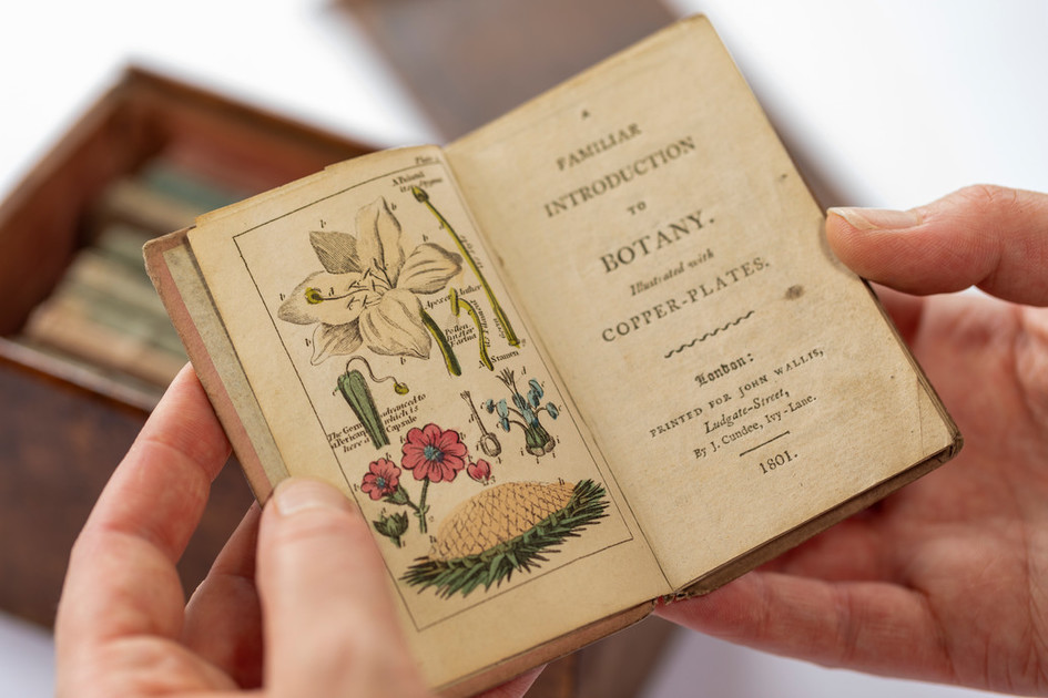 Book-case of knowledge, or library for youth (1903)
