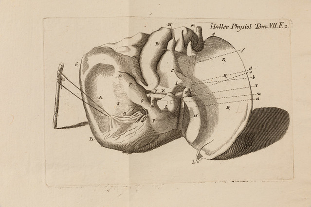 Elementa physiologiae corporis humani / Haller, Albrecht von, 1708-1777.