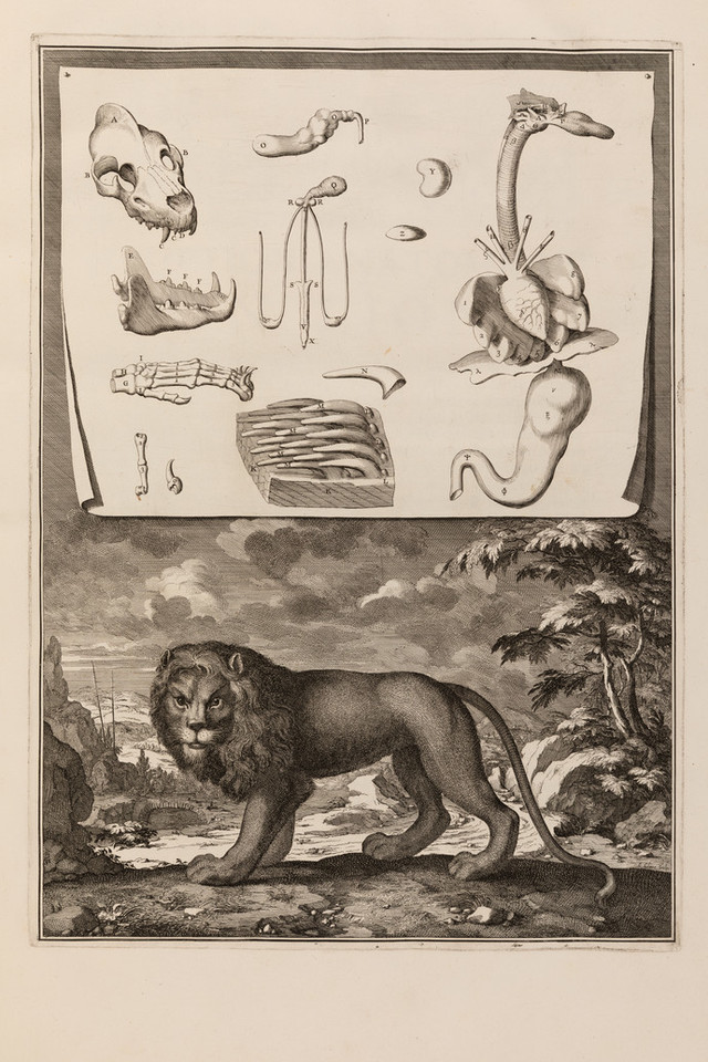 Mémoires pour servir à l'histoire naturelle des animaux / Perrault, Claude, 1613-1688. (1671-1676).