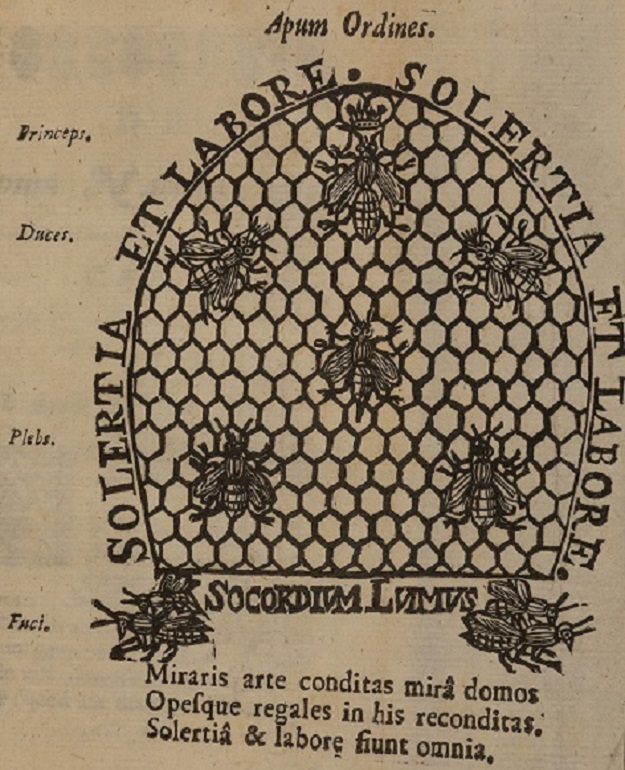 Illustration from the Rev. Charles Butler’s famous book Monarchia fœminina, (1673).